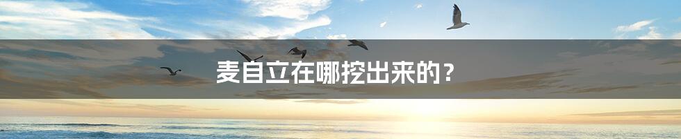 麦自立在哪挖出来的?