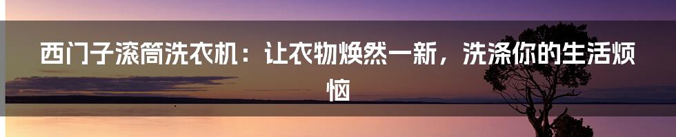西门子滚筒洗衣机:让衣物焕然一新,洗涤你的生活烦恼