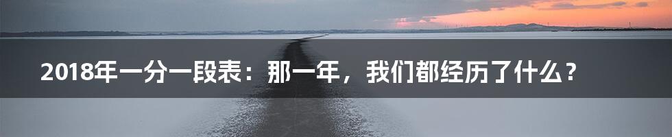 2018年一分一段表:那一年,我们都经历了什么?