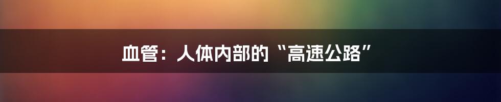 血管:人体内部的“高速公路”
