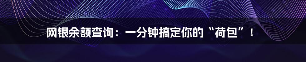 网银余额查询:一分钟搞定你的“荷包”!
