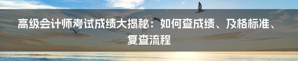 高级会计师考试成绩大揭秘：如何查成绩、及格标准、复查流程