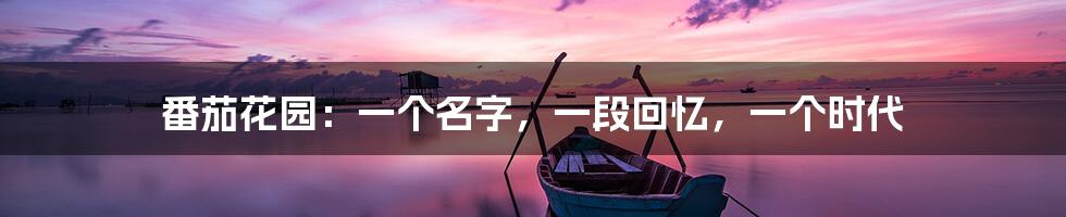 番茄花园：一个名字，一段回忆，一个时代