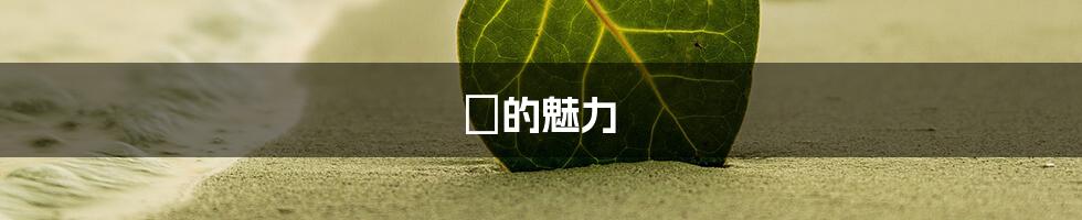 滙的魅力