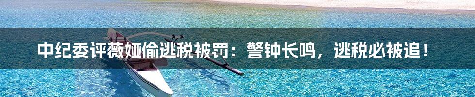 中纪委评薇娅偷逃税被罚:警钟长鸣,逃税必被追!