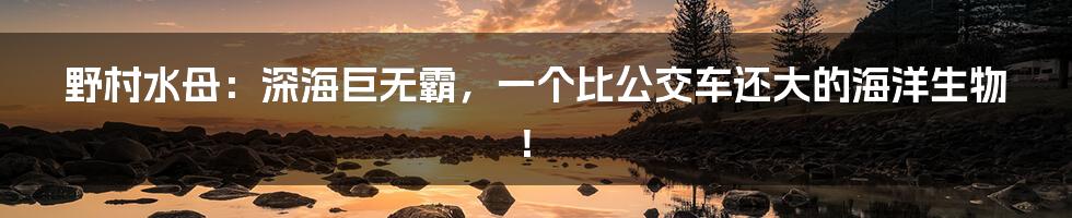 野村水母：深海巨无霸，一个比公交车还大的海洋生物！