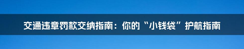 交通违章罚款交纳指南：你的“小钱袋”护航指南