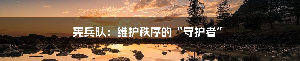 宪兵队：维护秩序的“守护者”