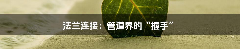 法兰连接:管道界的“握手”