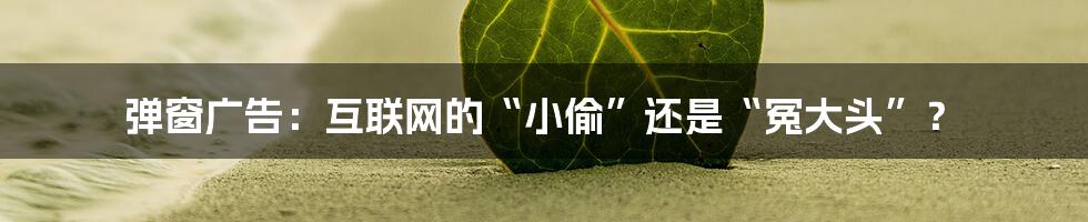 弹窗广告:互联网的“小偷”还是“冤大头”?