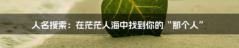 人名搜索:在茫茫人海中找到你的“那个人”