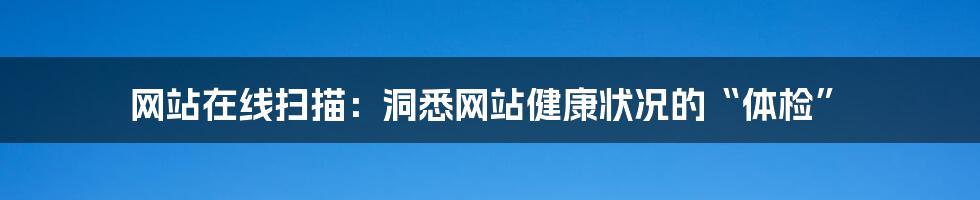 网站在线扫描:洞悉网站健康状况的“体检”