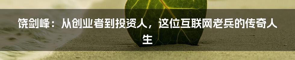 饶剑峰:从创业者到投资人,这位互联网老兵的传奇人生
