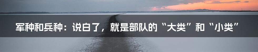 军种和兵种:说白了,就是部队的“大类”和“小类”