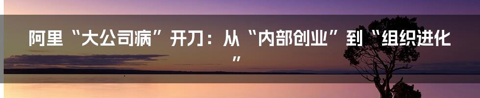 阿里“大公司病”开刀：从“内部创业”到“组织进化”