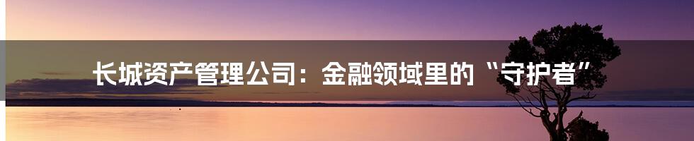 长城资产管理公司：金融领域里的“守护者”