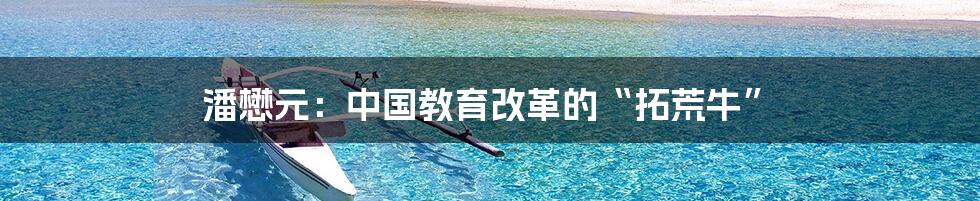 潘懋元:中国教育改革的“拓荒牛”