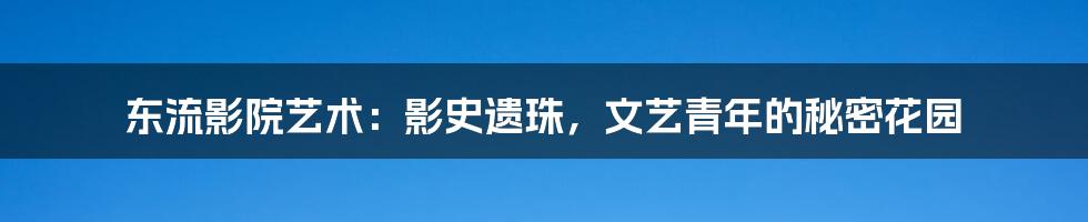东流影院艺术:影史遗珠,文艺青年的秘密花园