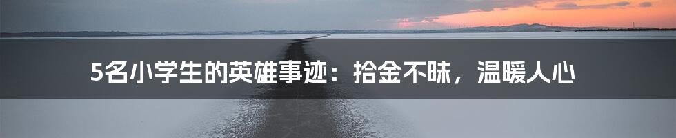 5名小学生的英雄事迹:拾金不昧,温暖人心