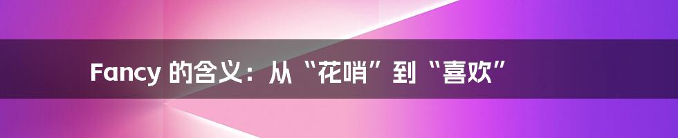 Fancy 的含义:从“花哨”到“喜欢”