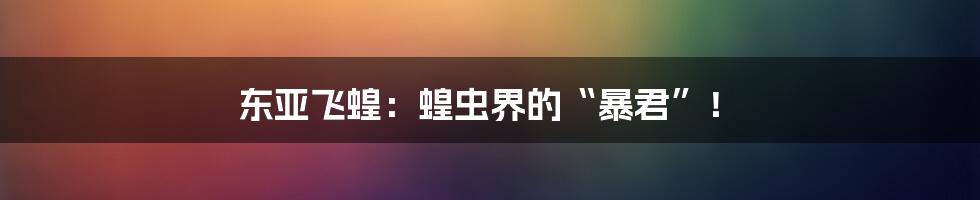 东亚飞蝗:蝗虫界的“暴君”!