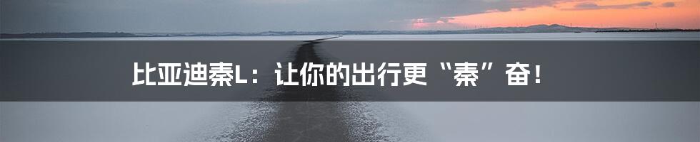 比亚迪秦L:让你的出行更“秦”奋!