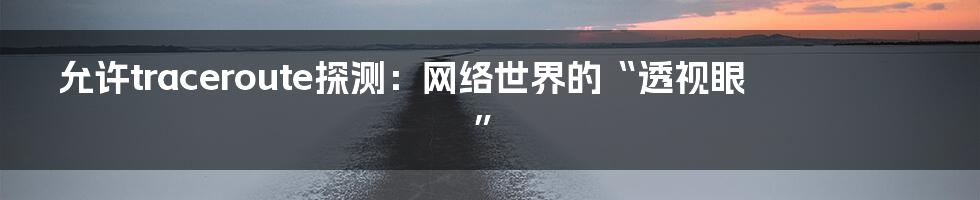 允许traceroute探测:网络世界的“透视眼”