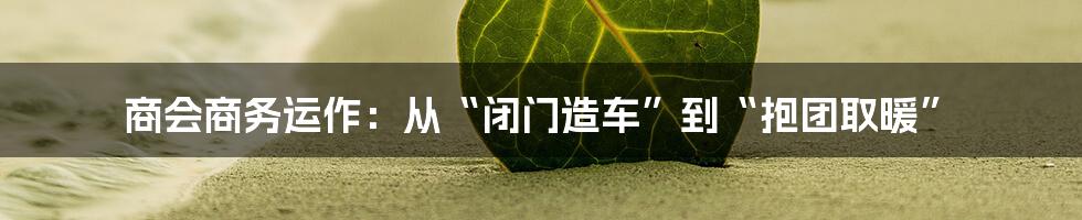 商会商务运作:从“闭门造车”到“抱团取暖”