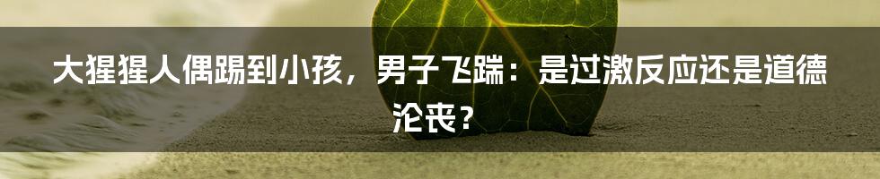 大猩猩人偶踢到小孩,男子飞踹:是过激反应还是道德沦丧?