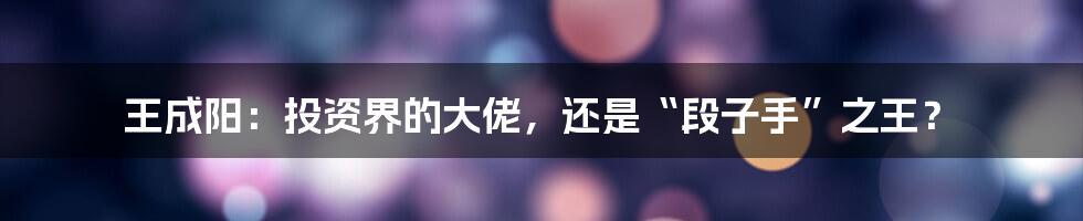 王成阳：投资界的大佬，还是“段子手”之王？