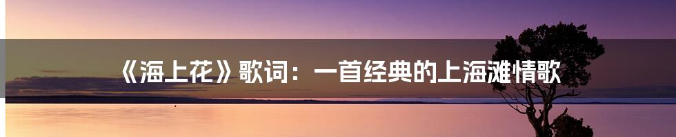 《海上花》歌词:一首经典的上海滩情歌