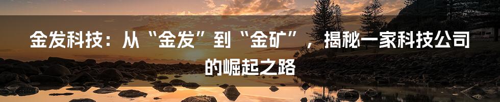 金发科技：从“金发”到“金矿”，揭秘一家科技公司的崛起之路
