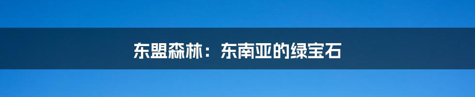 东盟森林:东南亚的绿宝石