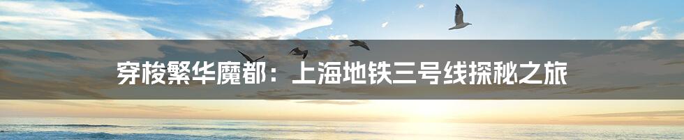 穿梭繁华魔都:上海地铁三号线探秘之旅