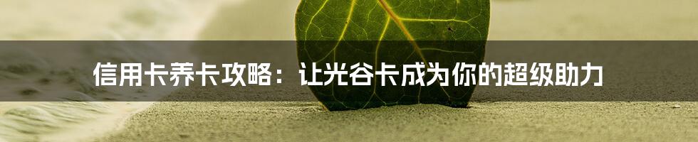 信用卡养卡攻略:让光谷卡成为你的超级助力