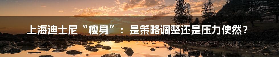 上海迪士尼“瘦身”:是策略调整还是压力使然?