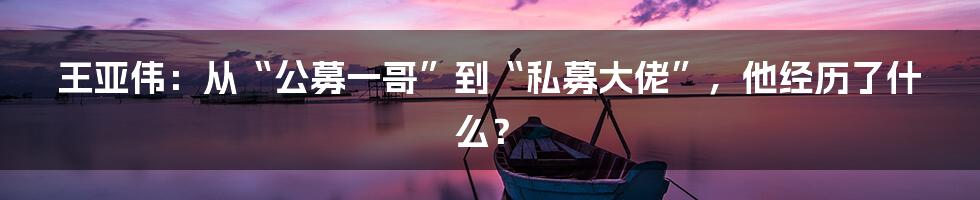 王亚伟:从“公募一哥”到“私募大佬”,他经历了什么?