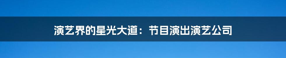 演艺界的星光大道:节目演出演艺公司