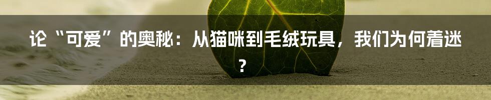 论“可爱”的奥秘：从猫咪到毛绒玩具，我们为何着迷？