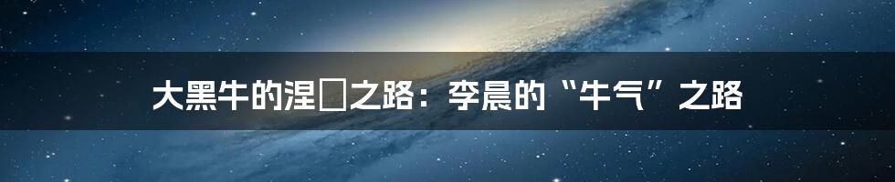 大黑牛的涅槃之路：李晨的“牛气”之路