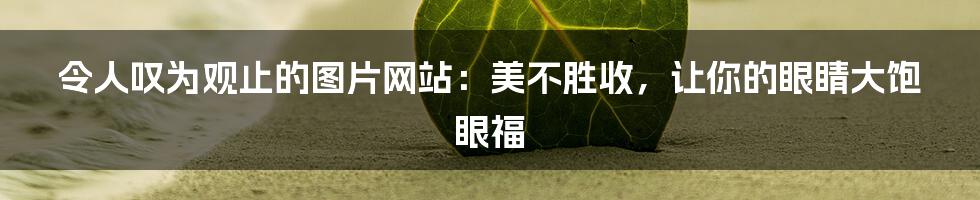 令人叹为观止的图片网站:美不胜收,让你的眼睛大饱眼福