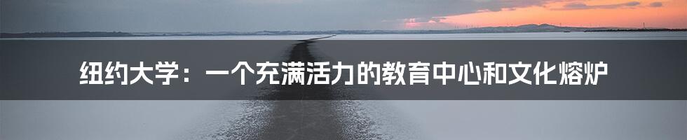 纽约大学:一个充满活力的教育中心和文化熔炉