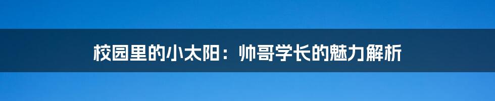 校园里的小太阳:帅哥学长的魅力解析