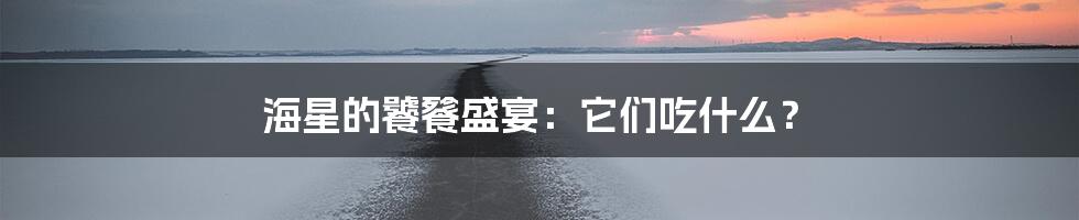 海星的饕餮盛宴:它们吃什么?
