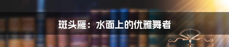 斑头雁:水面上的优雅舞者