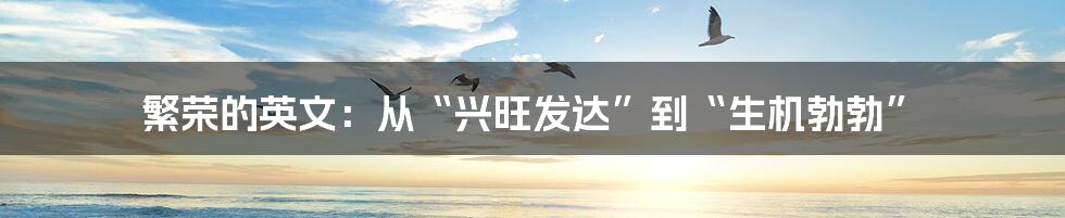 繁荣的英文:从“兴旺发达”到“生机勃勃”