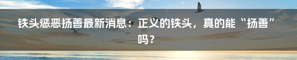 铁头惩恶扬善最新消息:正义的铁头,真的能“扬善”吗?