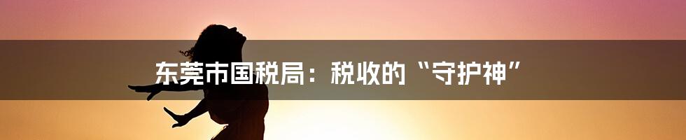 东莞市国税局:税收的“守护神”