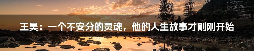 王昊:一个不安分的灵魂,他的人生故事才刚刚开始