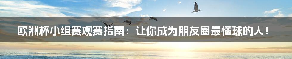 欧洲杯小组赛观赛指南:让你成为朋友圈最懂球的人!